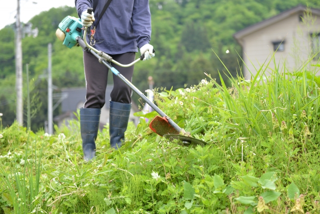 高松市で草刈りに最適な年3回の時期～楽に草刈りを終えるコツまで徹底解説