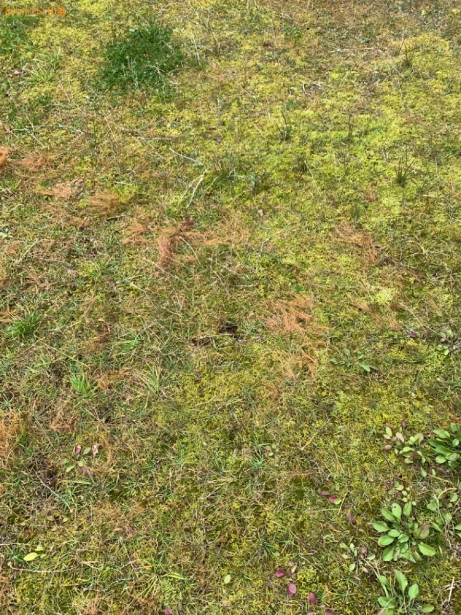 ソファー、テレビ台、テレビの回収・処分ご依頼　お客様の声